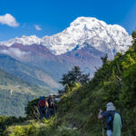 2024-10 - Népal - J04 - De Tolka à Ghandruk - 043